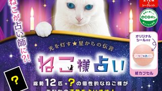 ［希少］おねがいプランクトン 新種の占いカプセル Amazon.co.jp: おねがいプランクトン 新種の占いカプセル : おもちゃ